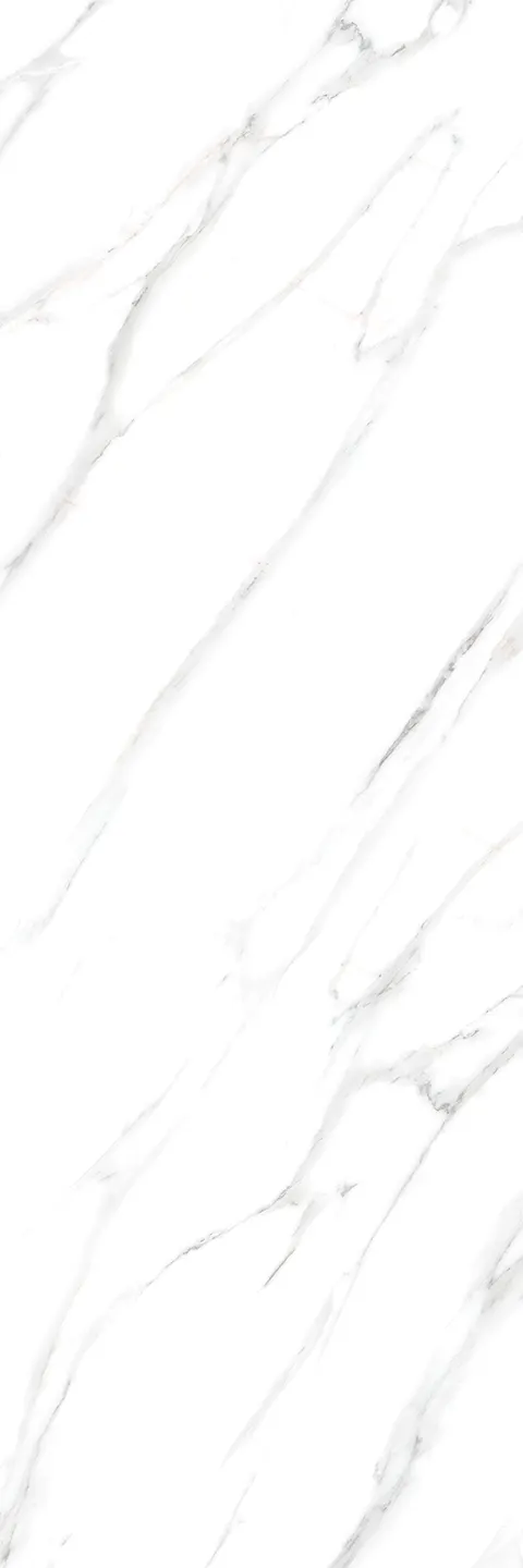 SATUARIO YUKA view 4
